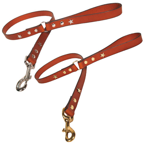 Studded Tan Leather Dog Lead