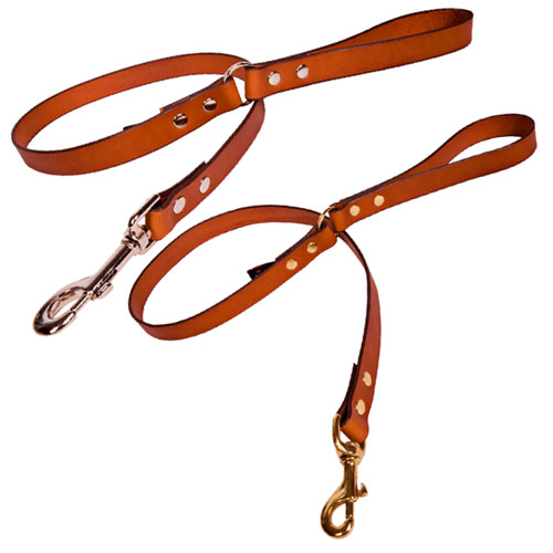 Tan Leather Dog Lead