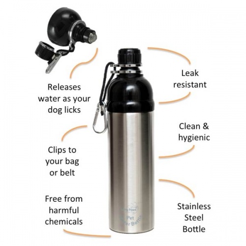 Lick & Flow Pet Water Bottle