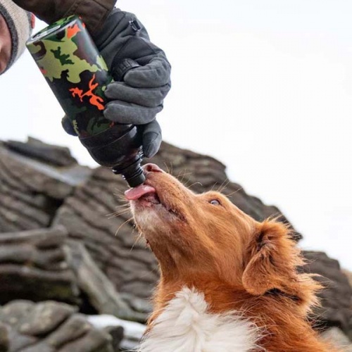 Lick & Flow Pet Water Bottle