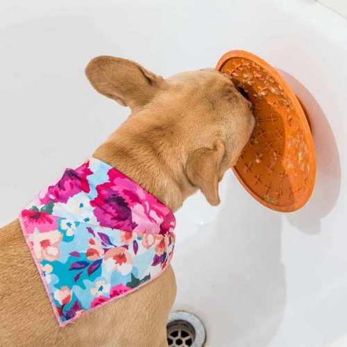 LickiMat Splash Dog Lick Pad