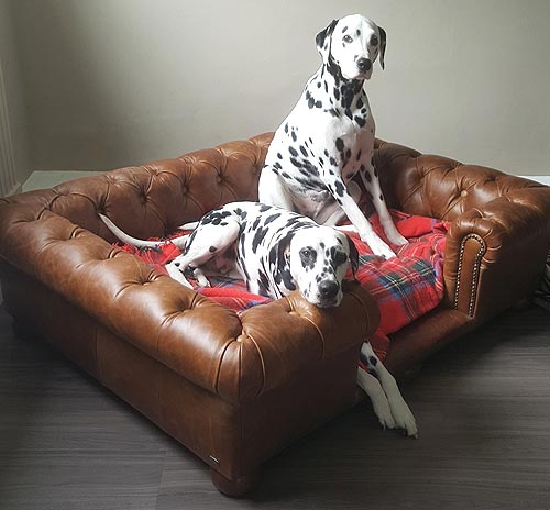 Balmoral Natural Real Leather Dog Sofa