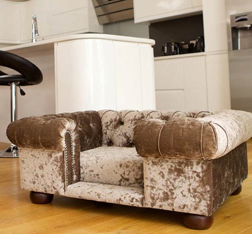 Balmoral Truffle Velvet Luxury Dog Sofa