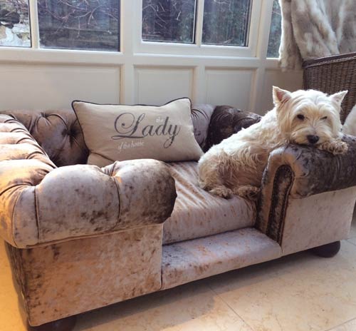 Balmoral Truffle Velvet Luxury Dog Sofa