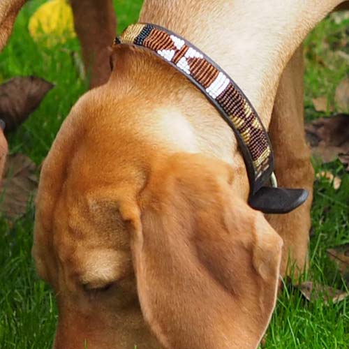 Masai Beaded Dog Collar - Earth