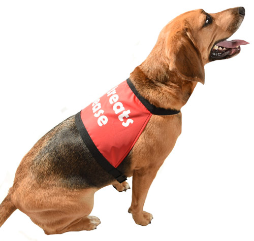 Training Vest For Dogs Deaf Dog Jacket Vest Deaf Awareness Dog