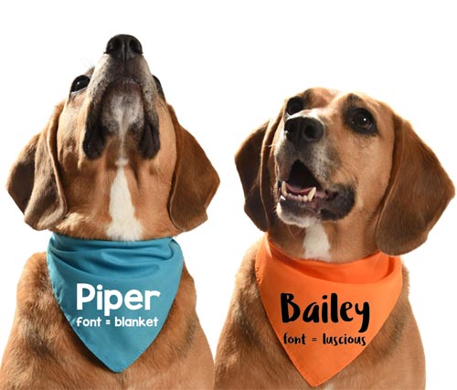 Personalised Dog Bandana