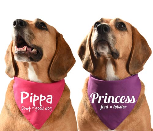 Dog bandanas personalized uk discount