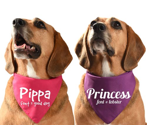 Personalised Dog Bandana