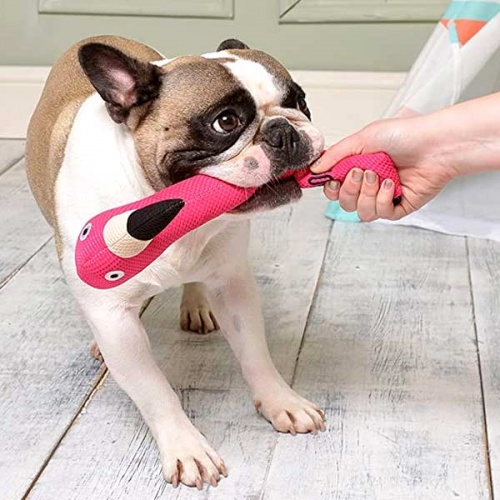Plush rope dog toys deals