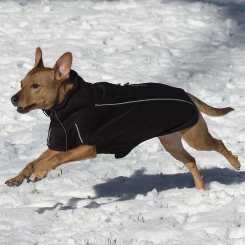 Olympia Soft Shell Fleece Winter Dog Coat