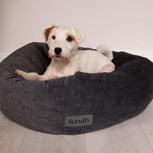 Oslo Ring Dog Bed - Stone Grey