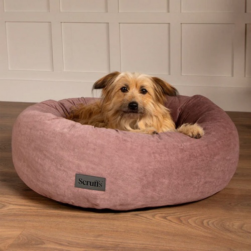 Oslo Ring Dog Bed - Blush Pink