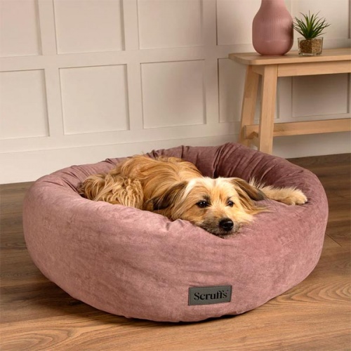 Oslo Ring Dog Bed - Blush Pink