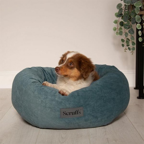 Oslo Ring Dog Bed - Lake Teal