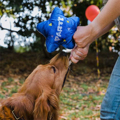 Party Time Party Balloon Dog Toy