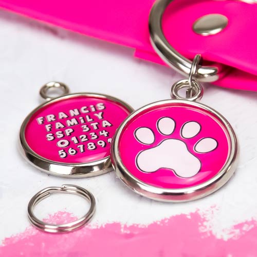 Pawesome Pet Tag - Paw