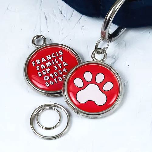 Pawesome Pet Tag - Paw