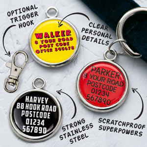 Pawesome Pet Tag - Heart