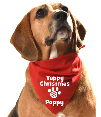 Personalised Christmas Dog Bandana