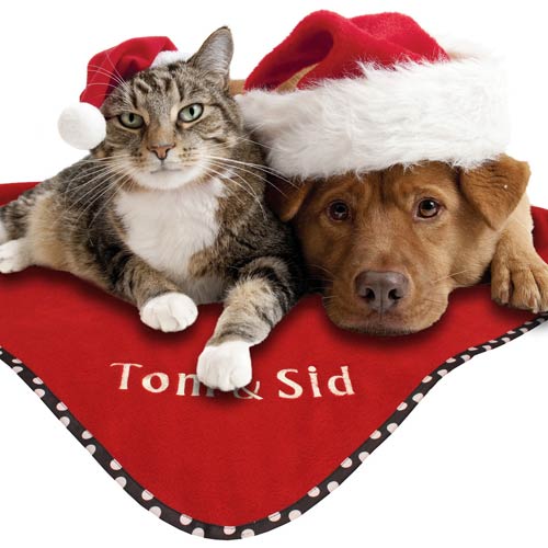Personalised Christmas Pet Blanket