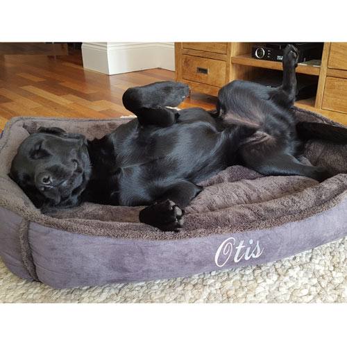 Personalised Dog Bed Cradle Dog's Name
