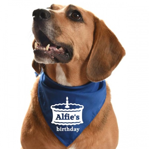 Personalised Dog Bandana Birthday Cake