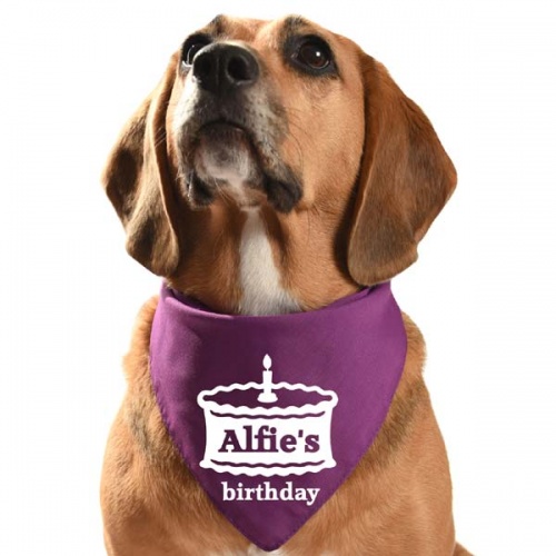 Personalised Dog Bandana Birthday Cake