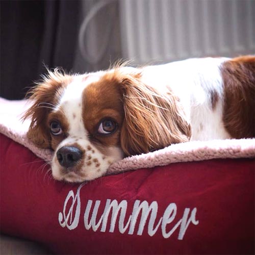 Personalised Dog Bed Cradle Dog's Name