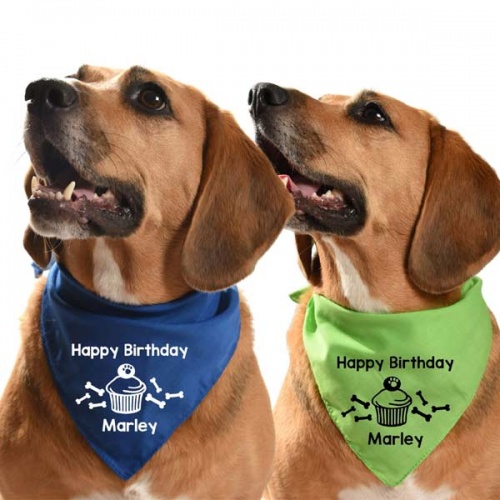 Personalised Dog Birthday Bandana