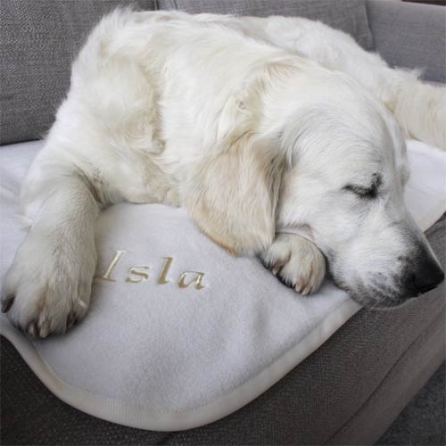 Personalised Dog Blankets Embroidered Name UK D for Dog