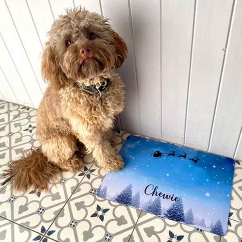 Personalised Dog Bowl Mats - Christmas