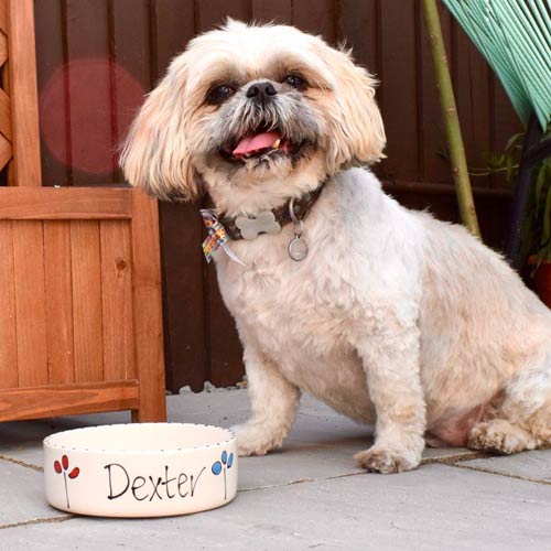 Personalised Dog Bowl - Petal