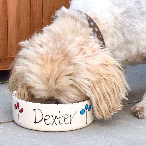 Personalised Dog Bowl - Petal