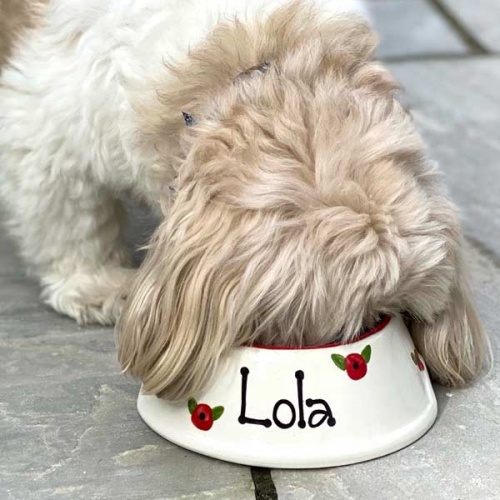 Personalised Dog Bowl - Poppy