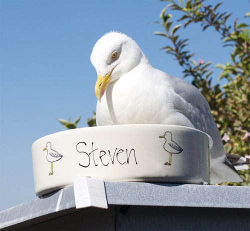 Personalised Dog Bowl - Seagull