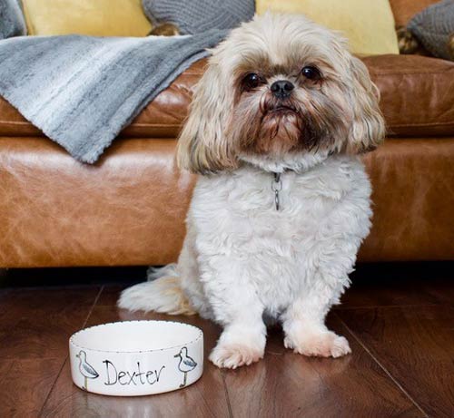 Personalised Dog Bowl - Seagull