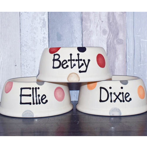 Personalised Dog Bowl Slanted