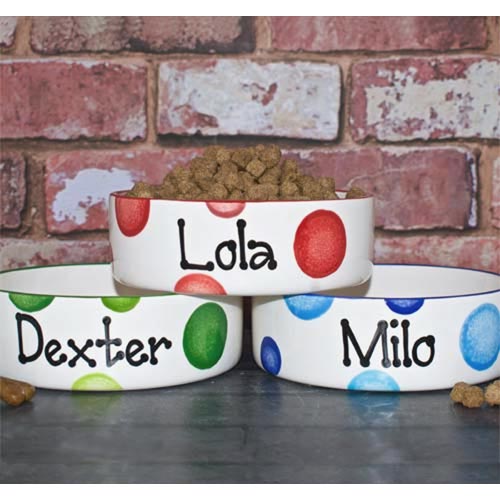 Personalised Dog Bowls - Dotty Straight