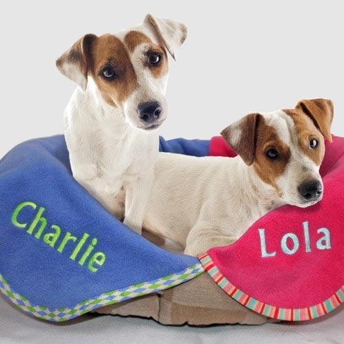 personalised fleece dog blanket