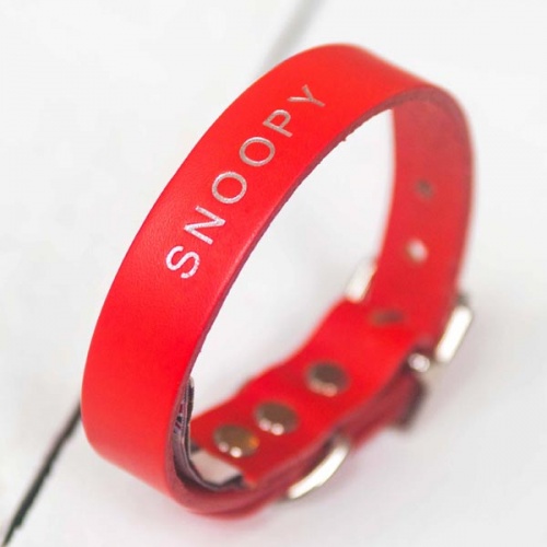 Personalised Leather Dog Collars
