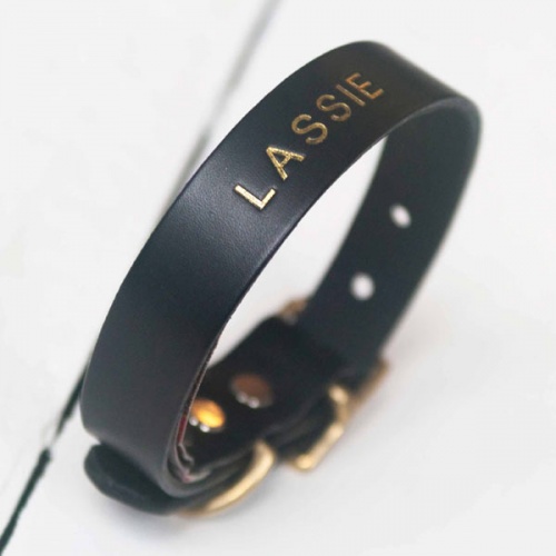 Personalised Leather Dog Collars