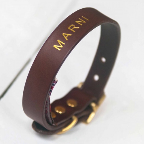 Personalised Leather Dog Collars