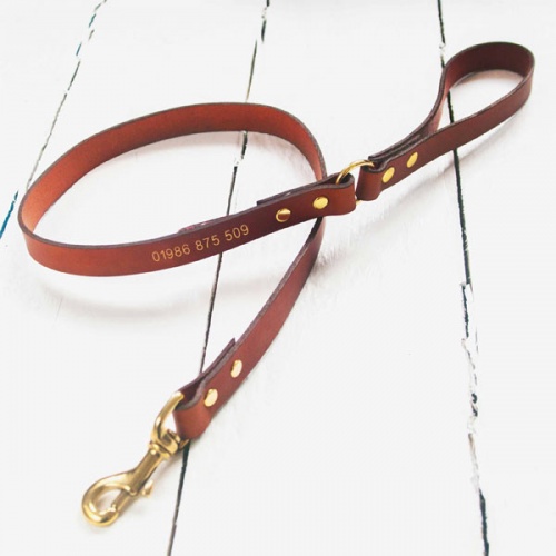 Personalised Leather Dog Leads