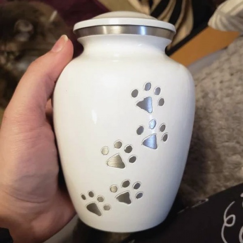 Paw Print Personalised Pet Urn - White