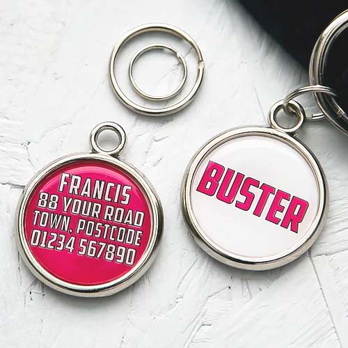 Personalised Pet Name Tag