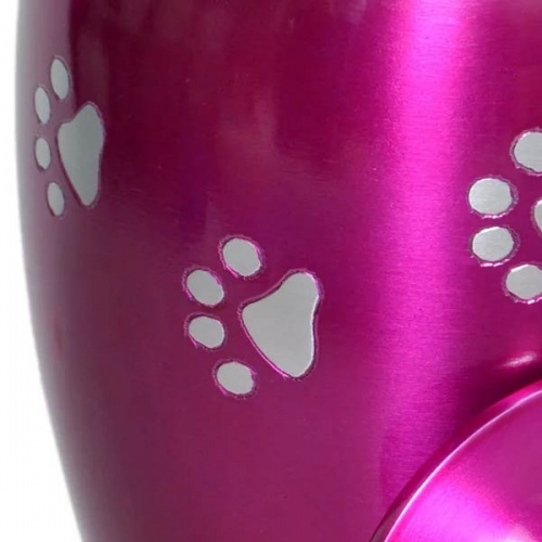 Paw Print Personalised Pet Urn - Pink