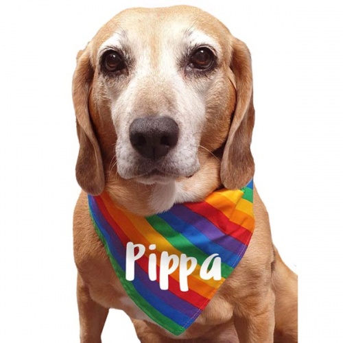 Personalised Rainbow Dog Bandana