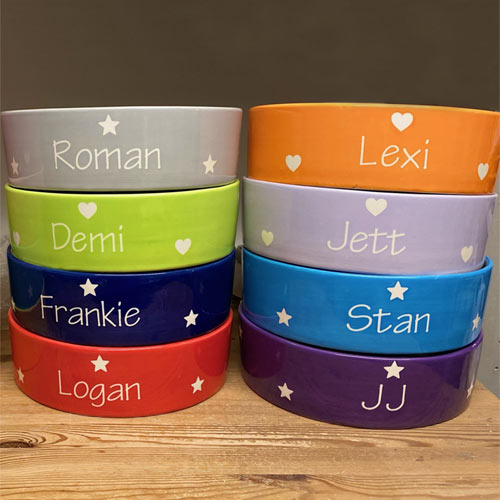 Personalised Dog Bowls - Polka Straight