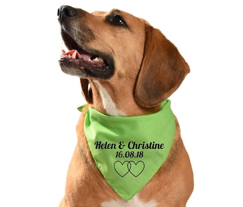 Personalised Wedding Day Dog Bandana